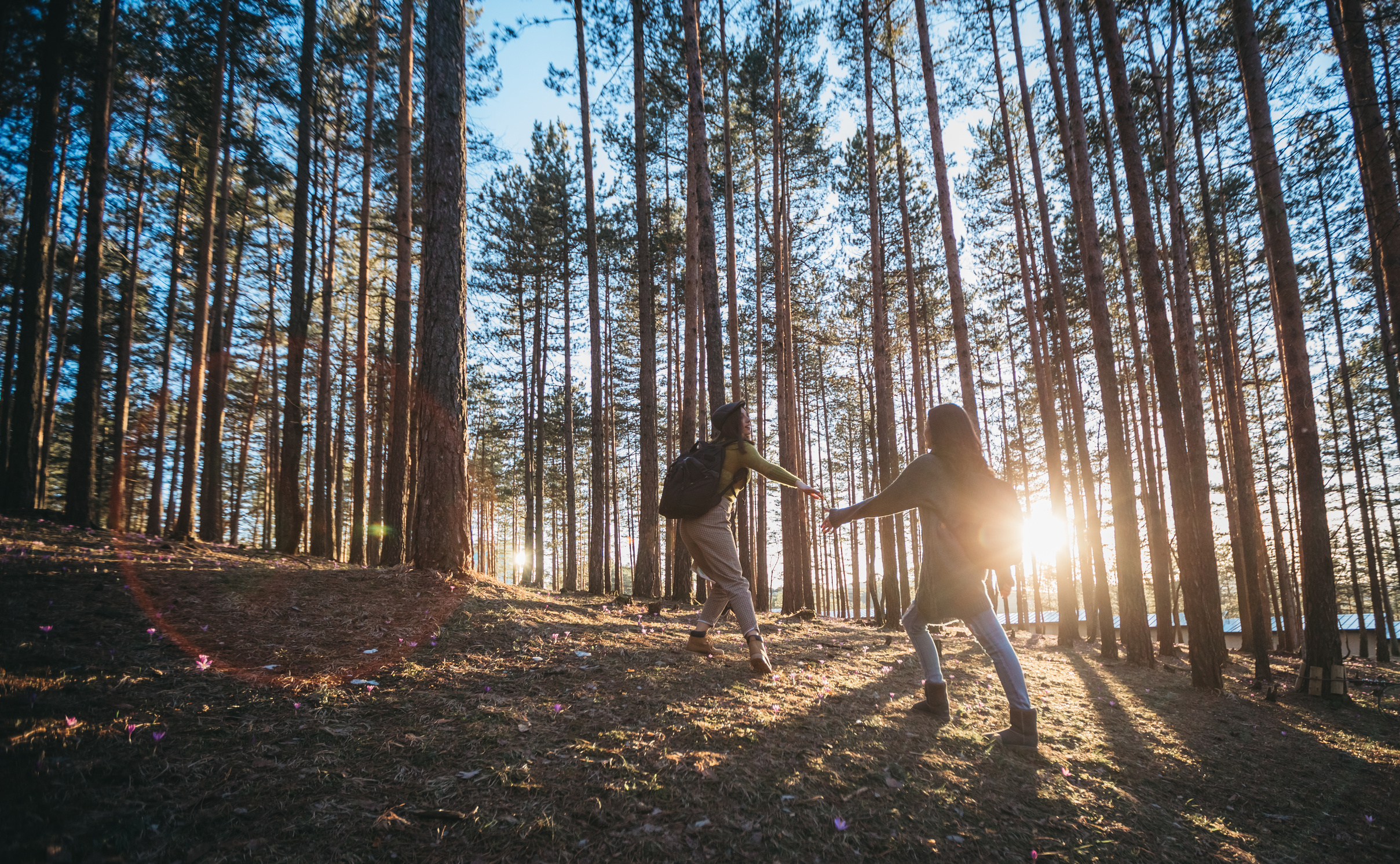 Walking in nature